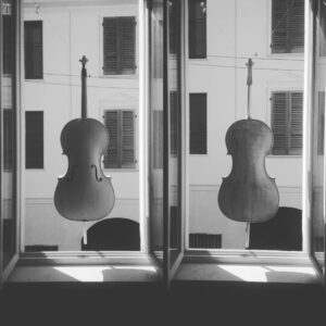 Starting varnish of this cello on my window at Cremona, by Milos Seyda