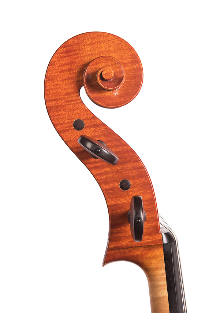 Cello Rugeri by Milos Seyda